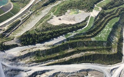 Réhabiliter et reverdir 100 hectares de sol minier stérile : le génie de Viridis en action